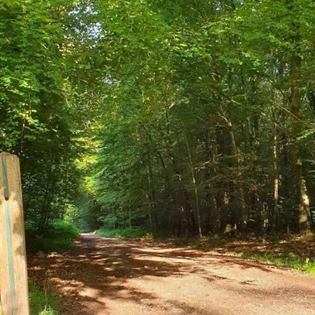 Κάμπινγκ Intime Avec Terrasse Pour 2 Personnes - Api-1-52-420 Les Grandes-Ventes